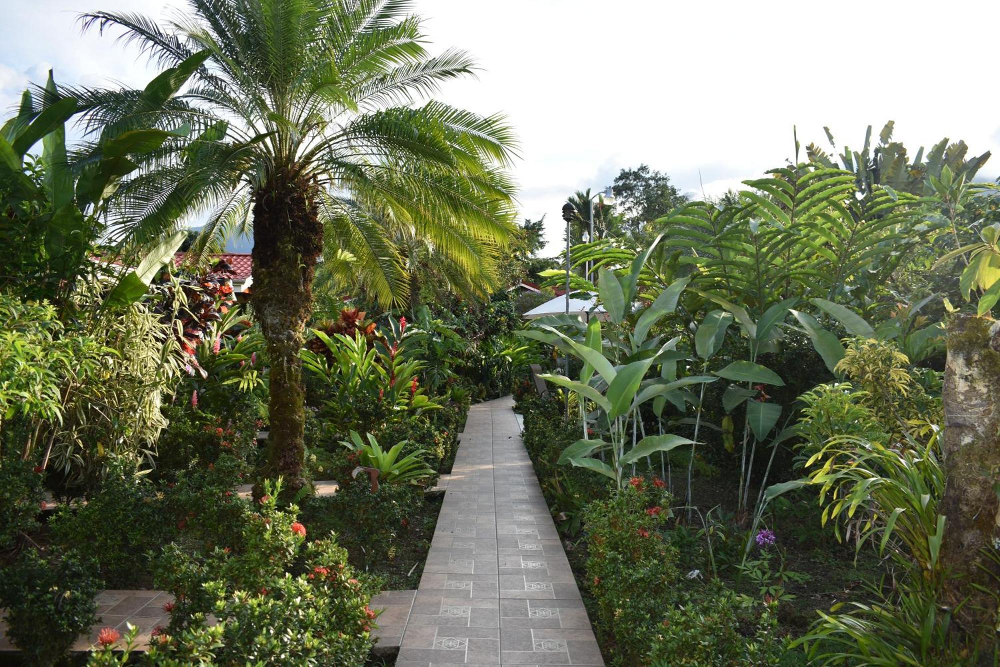 Hotel Roca Negra Del Arenal La Fortuna Номер фото