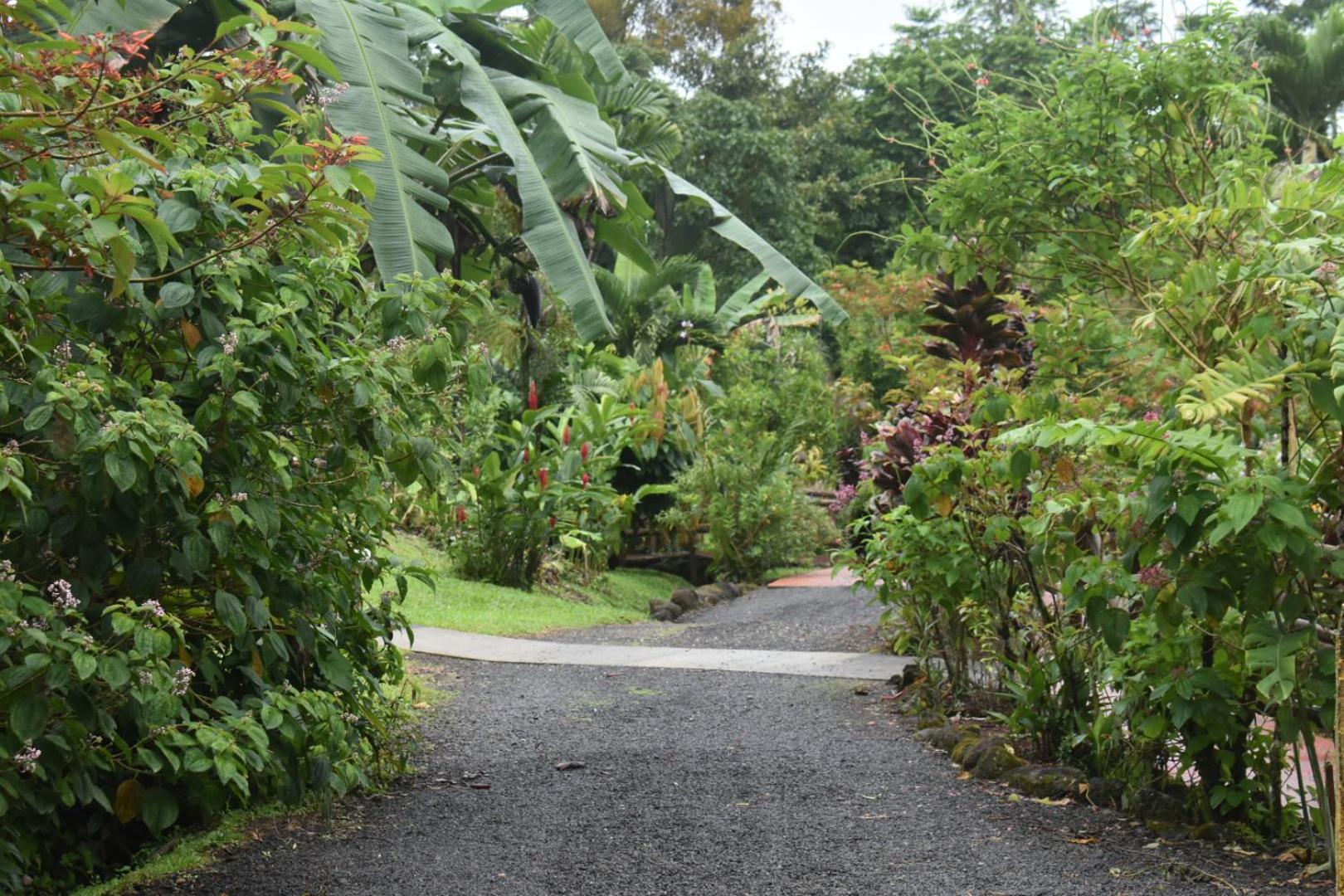 Hotel Roca Negra Del Arenal La Fortuna Екстер'єр фото