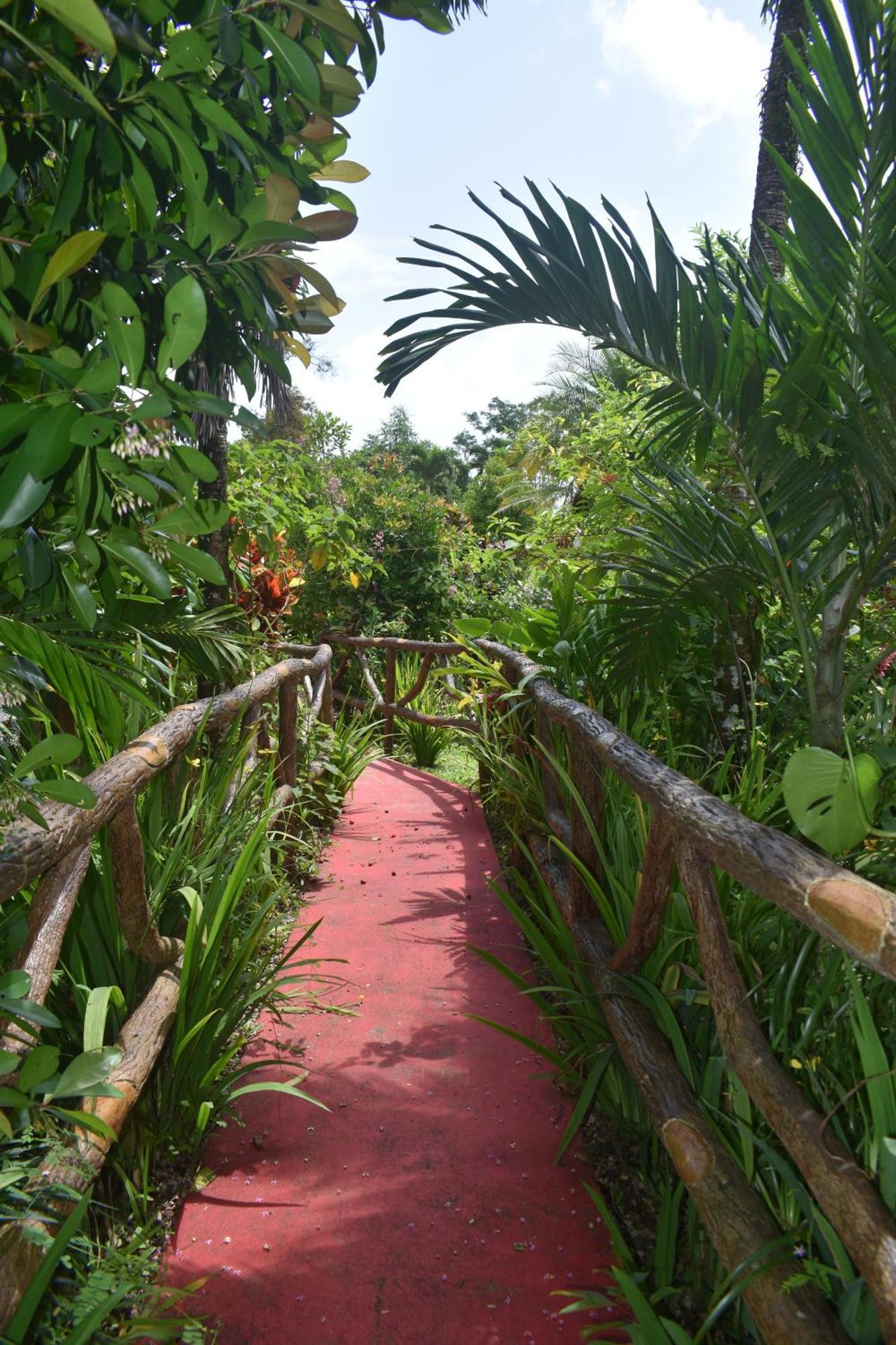 Hotel Roca Negra Del Arenal La Fortuna Екстер'єр фото