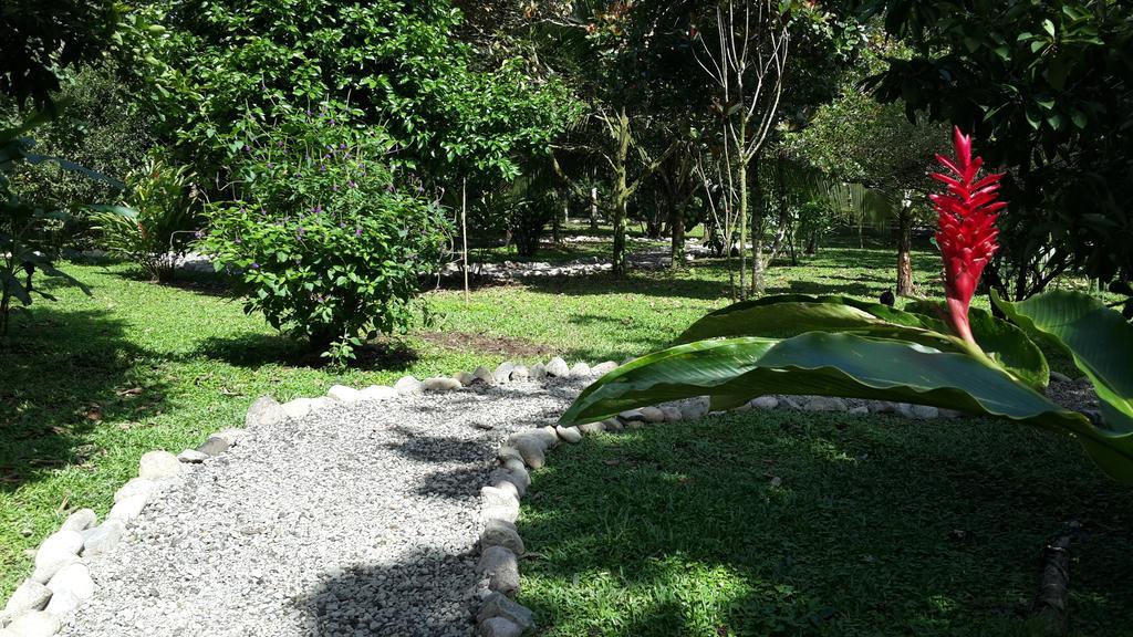 Hotel Roca Negra Del Arenal La Fortuna Екстер'єр фото