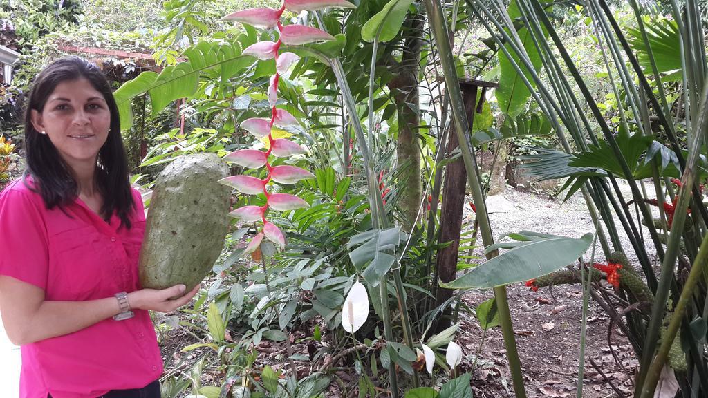 Hotel Roca Negra Del Arenal La Fortuna Екстер'єр фото