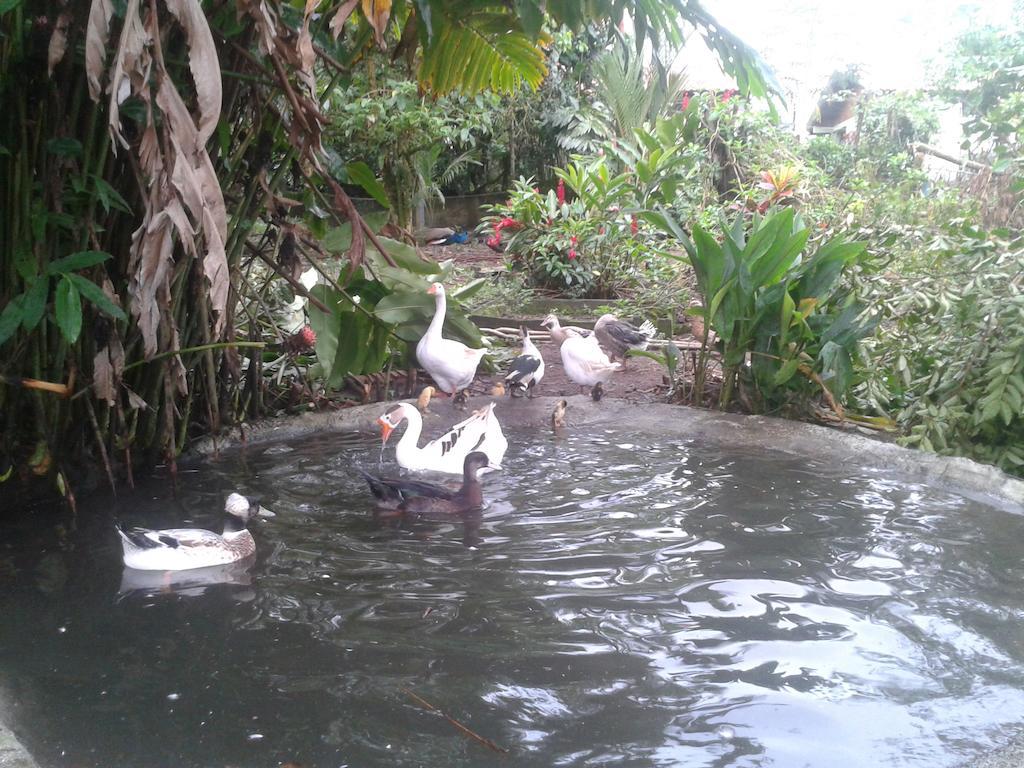 Hotel Roca Negra Del Arenal La Fortuna Екстер'єр фото