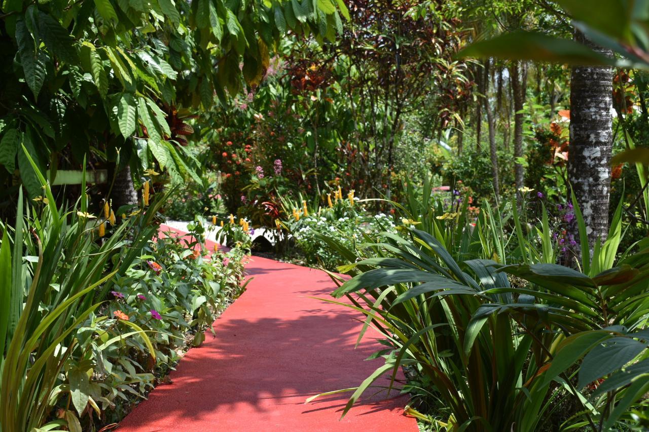 Hotel Roca Negra Del Arenal La Fortuna Екстер'єр фото