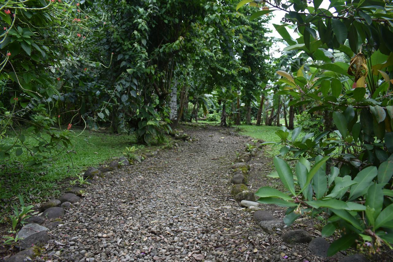 Hotel Roca Negra Del Arenal La Fortuna Екстер'єр фото